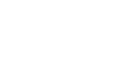 Ledger wallet